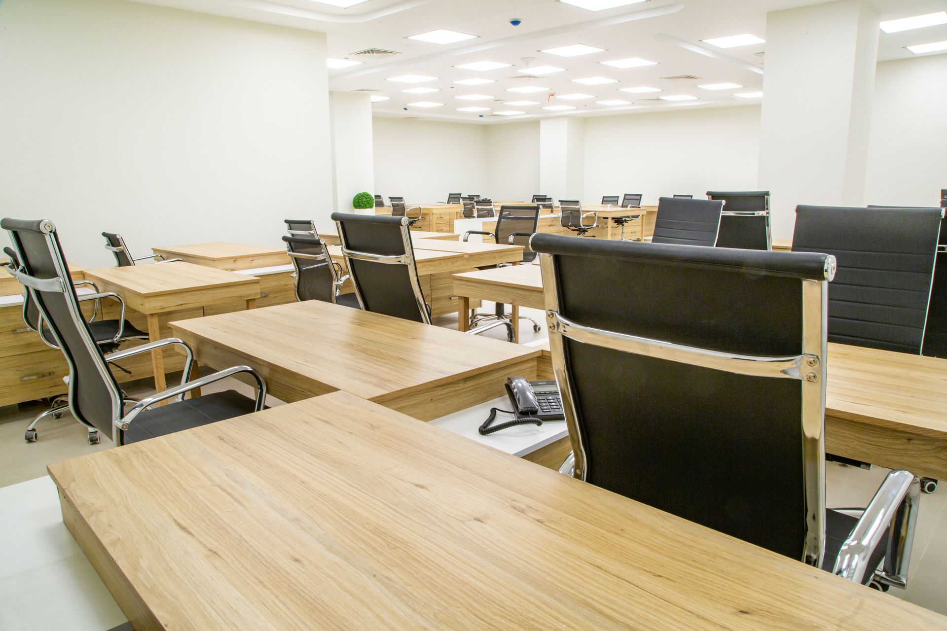 Spacious and modern empty office with wooden desks and ergonomic chairs.