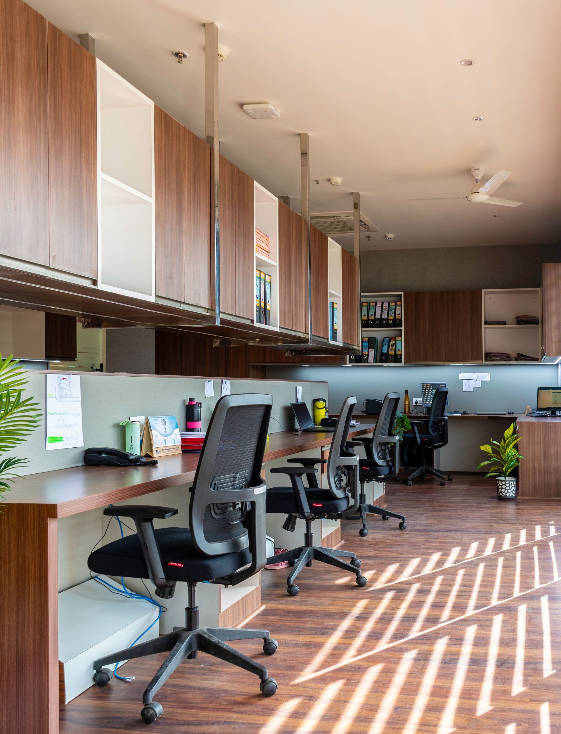 Bright and spacious open office with wooden desks and chairs under natural light. Ideal for creative workspaces.